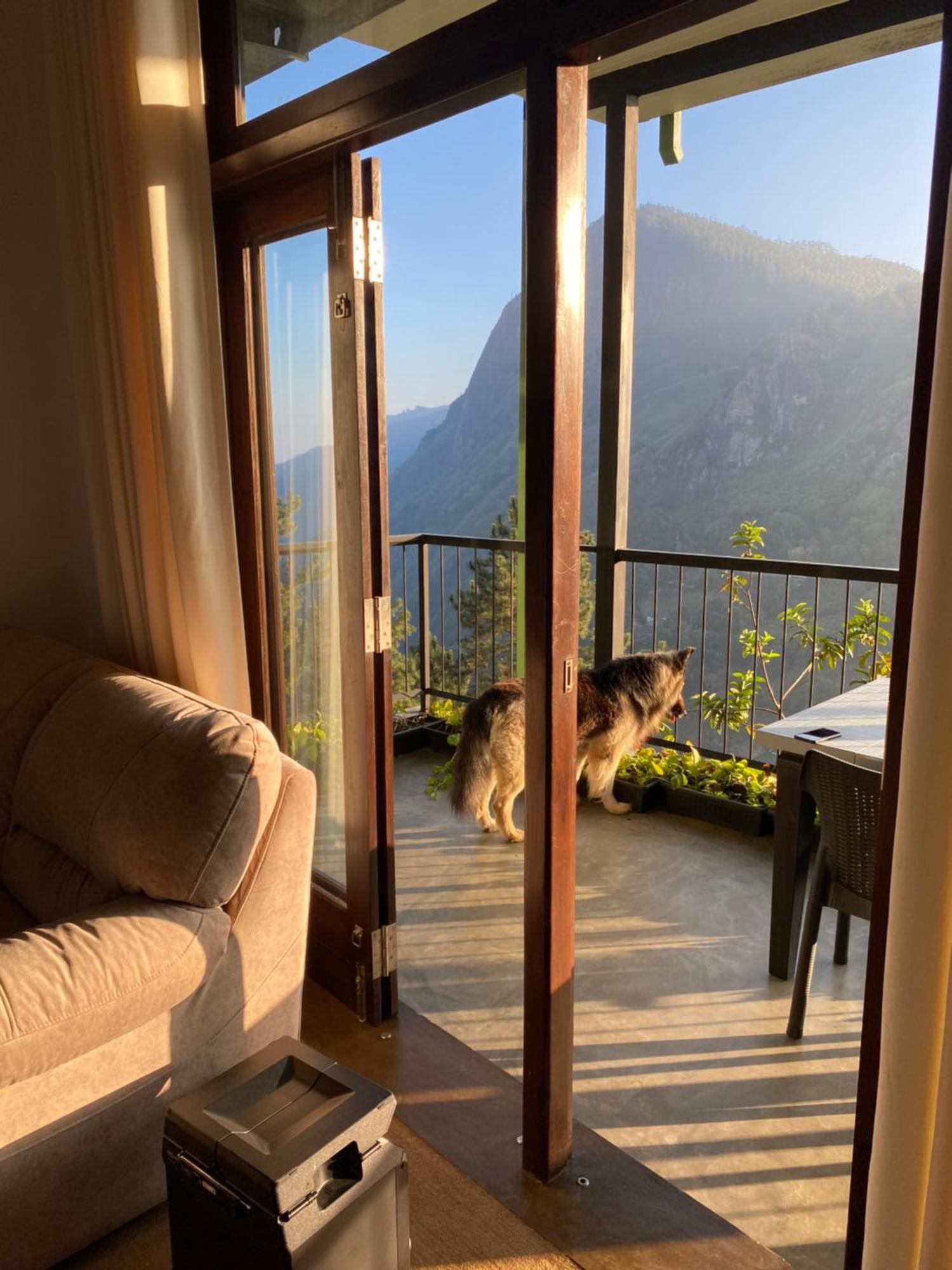 Star Gaze Lodge Ella Bagian luar foto